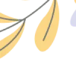 The Clothing Collection